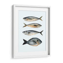 Cuatro Peces I - Emma Scarvey | Cuadro decorativo de Canvas Lab