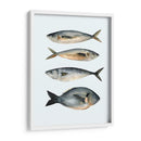 Cuatro Peces I - Emma Scarvey | Cuadro decorativo de Canvas Lab