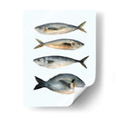 Cuatro Peces I - Emma Scarvey | Cuadro decorativo de Canvas Lab