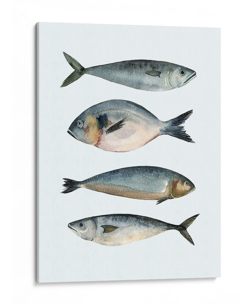 Cuatro Peces Ii - Emma Scarvey | Cuadro decorativo de Canvas Lab