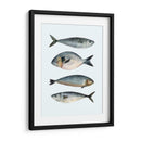 Cuatro Peces Ii - Emma Scarvey | Cuadro decorativo de Canvas Lab