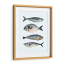 Cuatro Peces Ii - Emma Scarvey | Cuadro decorativo de Canvas Lab