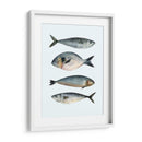 Cuatro Peces Ii - Emma Scarvey | Cuadro decorativo de Canvas Lab