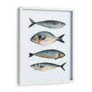 Cuatro Peces Ii - Emma Scarvey | Cuadro decorativo de Canvas Lab