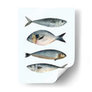 Cuatro Peces Ii - Emma Scarvey | Cuadro decorativo de Canvas Lab