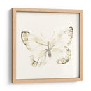 Impresiones De Mariposa Sepia I - June Erica Vess | Cuadro decorativo de Canvas Lab