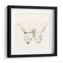 Sepia Butterfly Impresiones Ii - June Erica Vess | Cuadro decorativo de Canvas Lab