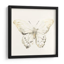 Sepia Butterfly Impresiones Ii - June Erica Vess | Cuadro decorativo de Canvas Lab