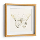 Sepia Butterfly Impresiones Ii - June Erica Vess | Cuadro decorativo de Canvas Lab