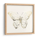 Sepia Butterfly Impresiones Ii - June Erica Vess | Cuadro decorativo de Canvas Lab