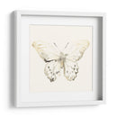 Sepia Butterfly Impresiones Ii - June Erica Vess | Cuadro decorativo de Canvas Lab