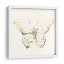Sepia Butterfly Impresiones Ii - June Erica Vess | Cuadro decorativo de Canvas Lab