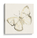 Sepia Butterfly Impresiones Iii - June Erica Vess | Cuadro decorativo de Canvas Lab