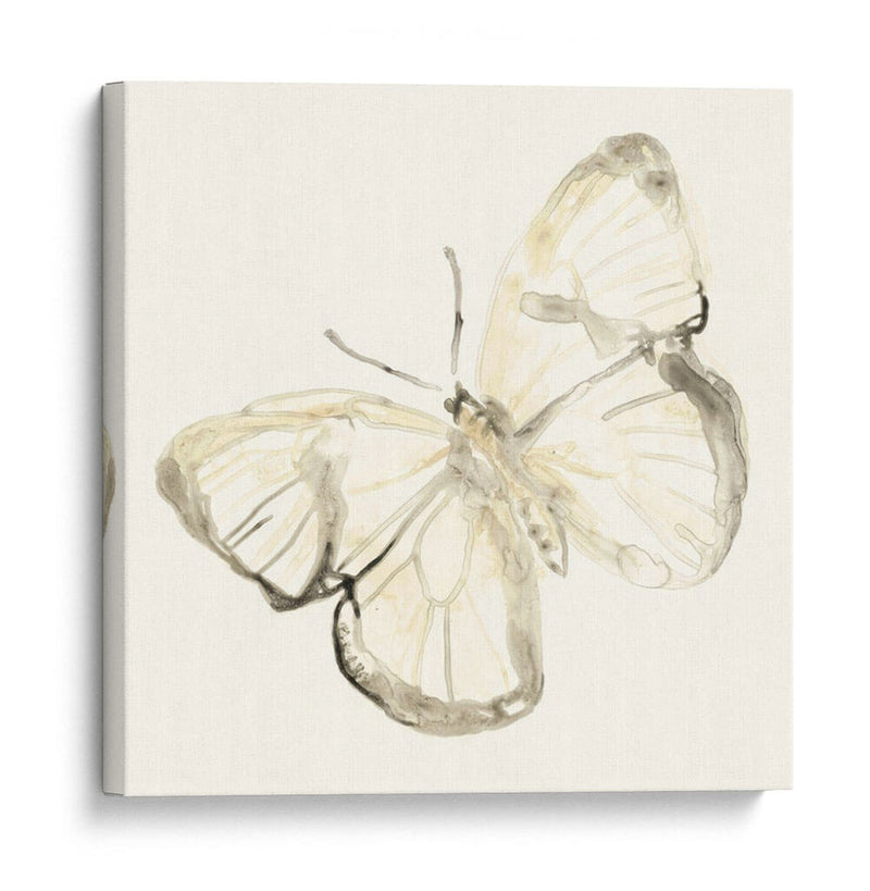 Sepia Butterfly Impresiones Iii - June Erica Vess | Cuadro decorativo de Canvas Lab