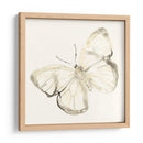 Sepia Butterfly Impresiones Iii - June Erica Vess | Cuadro decorativo de Canvas Lab
