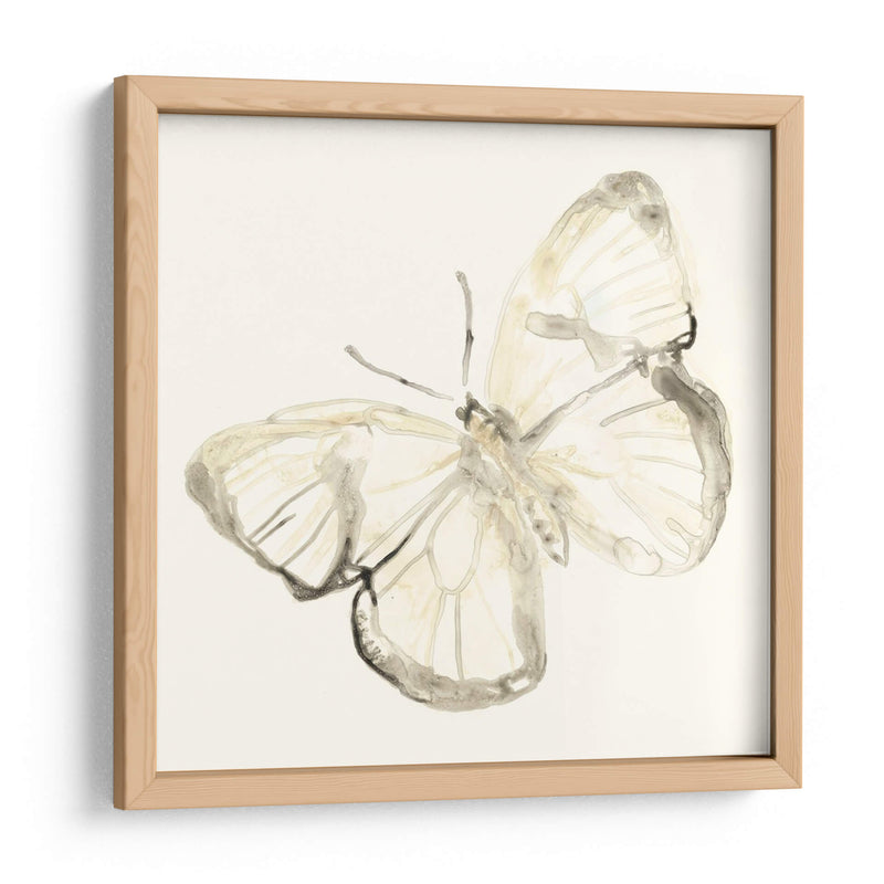 Sepia Butterfly Impresiones Iii - June Erica Vess | Cuadro decorativo de Canvas Lab