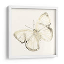 Sepia Butterfly Impresiones Iii - June Erica Vess | Cuadro decorativo de Canvas Lab