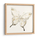 Sepia Butterfly Impresiones Iv - June Erica Vess | Cuadro decorativo de Canvas Lab