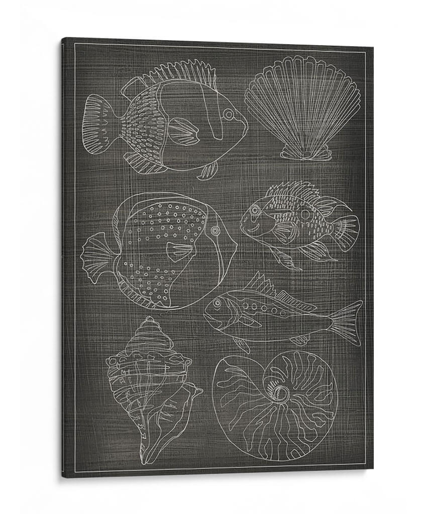 Gráfico De Mar I - Chariklia Zarris | Cuadro decorativo de Canvas Lab