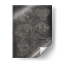 Gráfico De Mar I - Chariklia Zarris | Cuadro decorativo de Canvas Lab