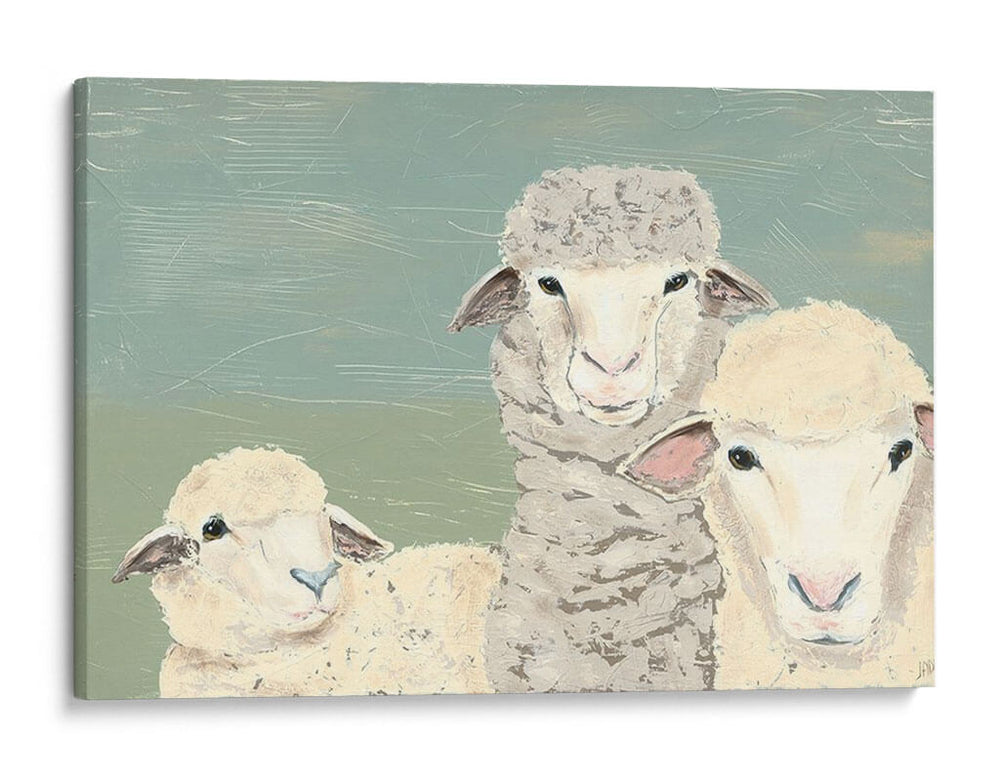 Ovejas Bashful - Jade Reynolds | Cuadro decorativo de Canvas Lab
