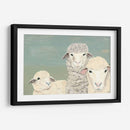 Ovejas Bashful - Jade Reynolds | Cuadro decorativo de Canvas Lab