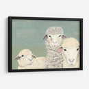 Ovejas Bashful - Jade Reynolds | Cuadro decorativo de Canvas Lab