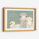 Ovejas Bashful - Jade Reynolds | Cuadro decorativo de Canvas Lab