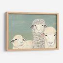 Ovejas Bashful - Jade Reynolds | Cuadro decorativo de Canvas Lab