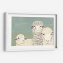 Ovejas Bashful - Jade Reynolds | Cuadro decorativo de Canvas Lab