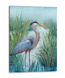 Marsh Heron I - Tim OToole | Cuadro decorativo de Canvas Lab