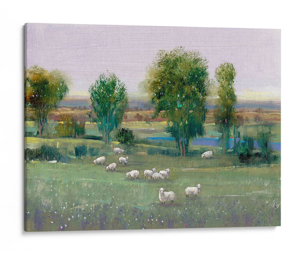 Campo De Ovejas I - Tim OToole | Cuadro decorativo de Canvas Lab