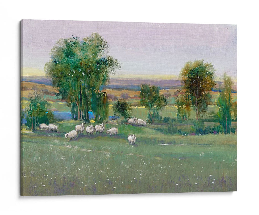 Campo De Ovejas Ii - Tim OToole | Cuadro decorativo de Canvas Lab
