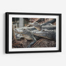 Cocodrilos al acecho | Cuadro decorativo de Canvas Lab