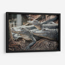 Cocodrilos al acecho | Cuadro decorativo de Canvas Lab