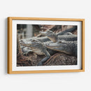 Cocodrilos al acecho | Cuadro decorativo de Canvas Lab