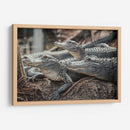 Cocodrilos al acecho | Cuadro decorativo de Canvas Lab