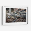 Cocodrilos al acecho | Cuadro decorativo de Canvas Lab