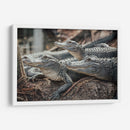 Cocodrilos al acecho | Cuadro decorativo de Canvas Lab