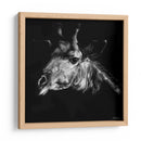 Tbardas De Favilla Silla Vi - Julie T. Chapman | Cuadro decorativo de Canvas Lab