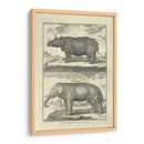 Elefante Y Rhino - Denis Diderot | Cuadro decorativo de Canvas Lab