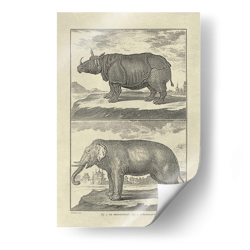 Elefante Y Rhino - Denis Diderot | Cuadro decorativo de Canvas Lab