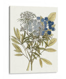 Lacy Deja Yo | Cuadro decorativo de Canvas Lab