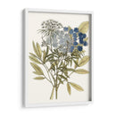 Lacy Deja Yo | Cuadro decorativo de Canvas Lab