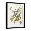 Hojas De Encaje Ii | Cuadro decorativo de Canvas Lab