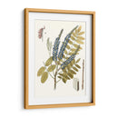 Hojas De Encaje Ii | Cuadro decorativo de Canvas Lab