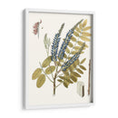 Hojas De Encaje Ii | Cuadro decorativo de Canvas Lab