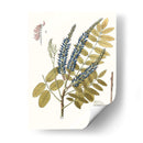 Hojas De Encaje Ii | Cuadro decorativo de Canvas Lab