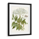 Lacy Deja V | Cuadro decorativo de Canvas Lab