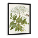 Lacy Deja V | Cuadro decorativo de Canvas Lab